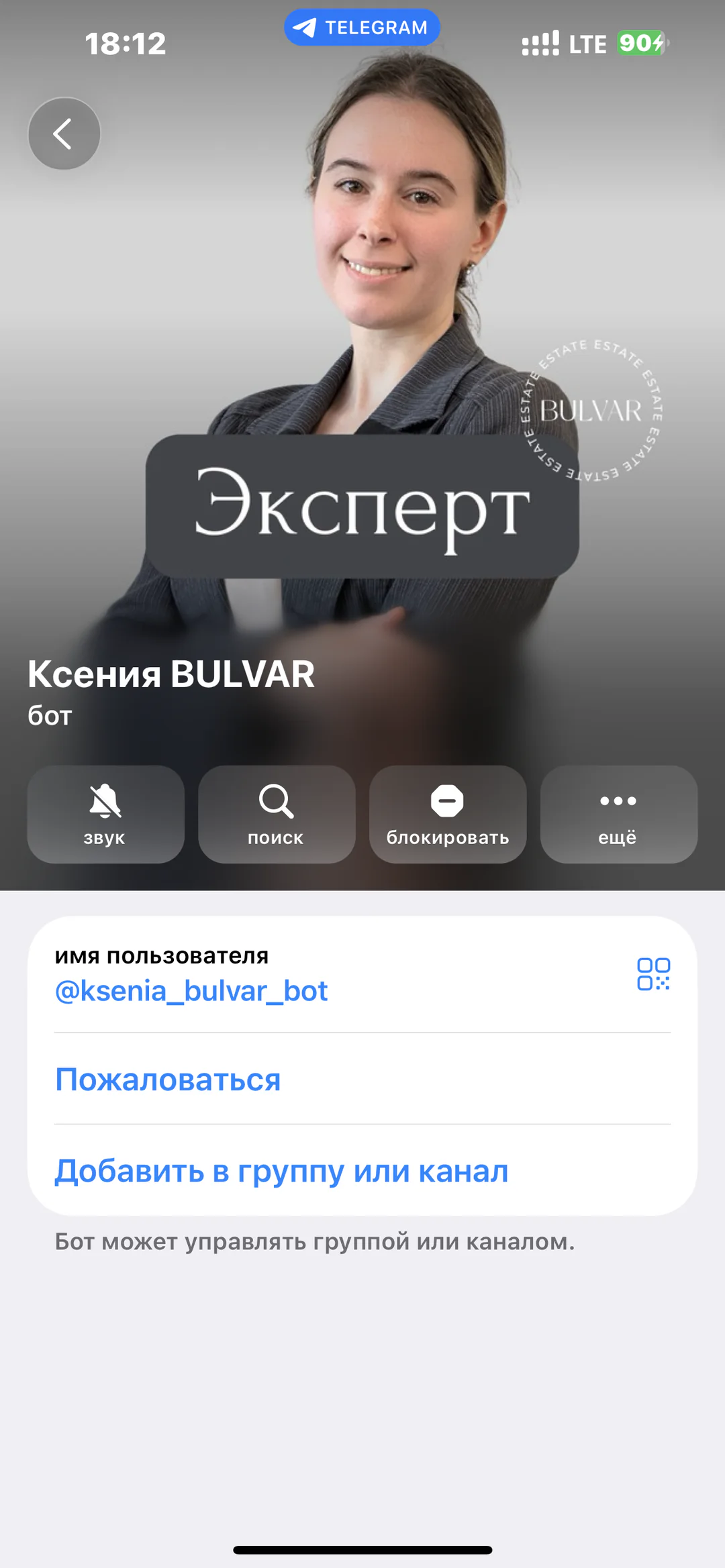 Ксения BULVAR — бот эксперта по недвижимости: карточка персонального Telegram-бота